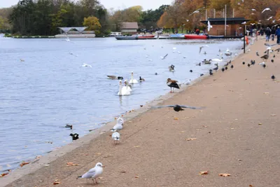 DSC_0646 (Large).JPG